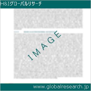 グローバルリサーチ調査レポートのイメージ